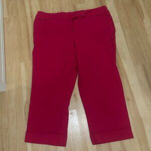 Ann Taylor Capri Trouser Slacks - 14